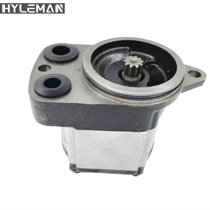 A8VO160 / 200 pompa tal-pompa pilota idrawlika